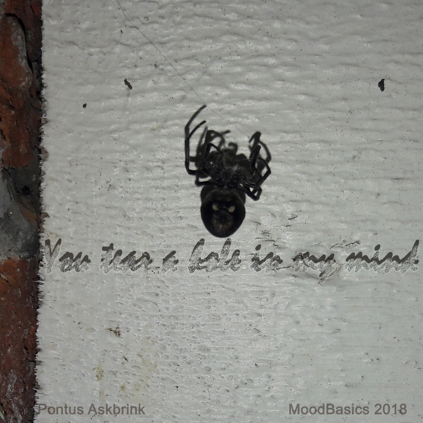 You tear a hole in my mind 2018.